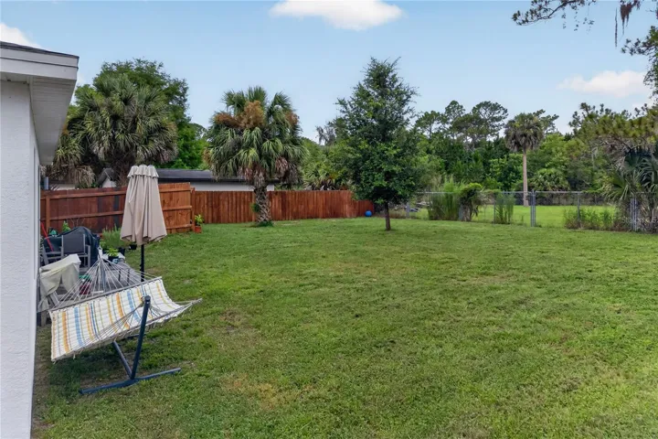 Backyard