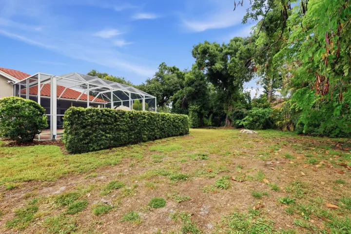 Yard, rear exterior