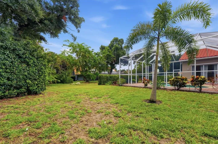 Yard, rear exterior