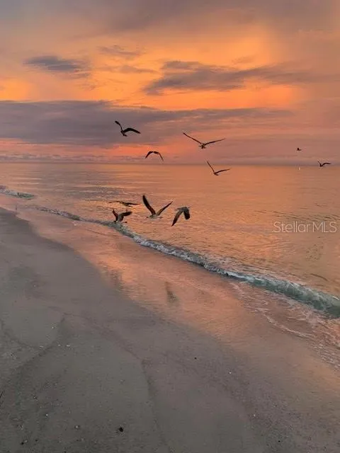 Sunrise on the beach