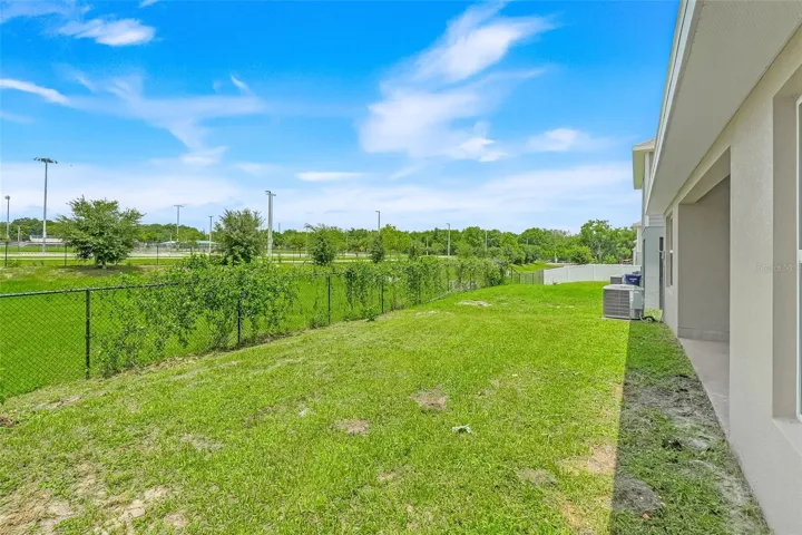 Back yard
