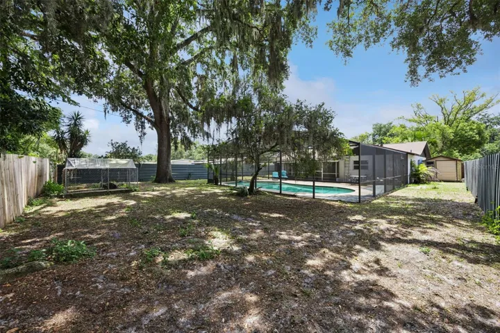Back yard
