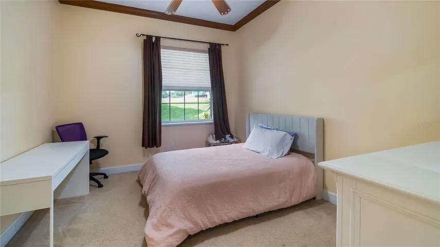 Bedroom 3, doorway to guest bathroom and doorway to hall
