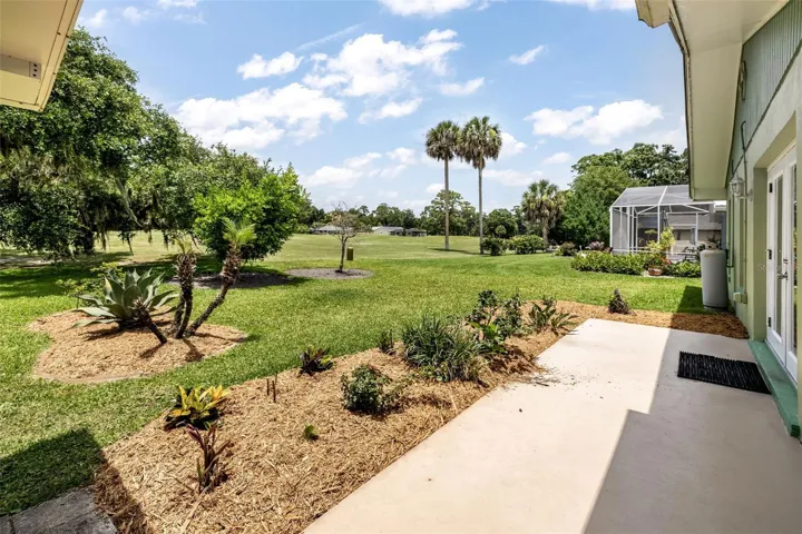 Beautiful Backyard