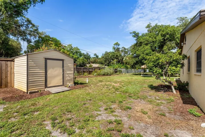Backyard