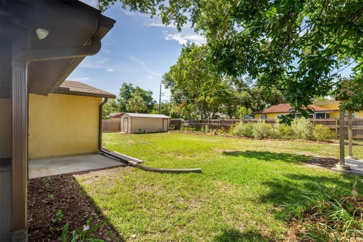 Backyard