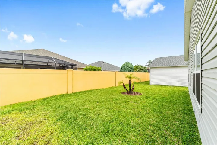 Private yard with the wall behind