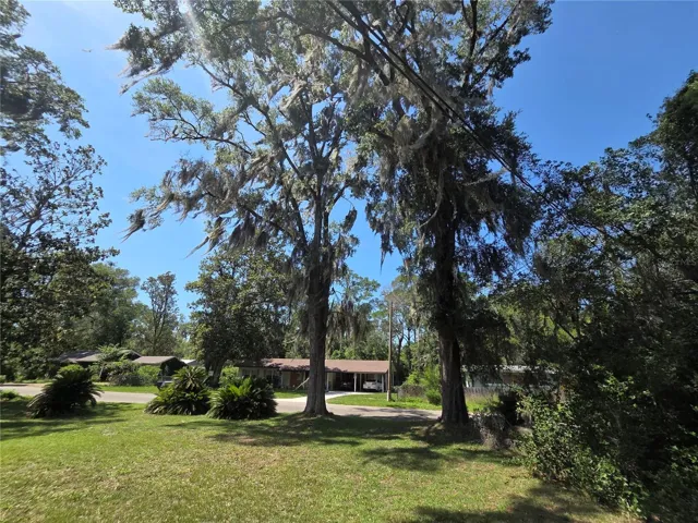 Front yard