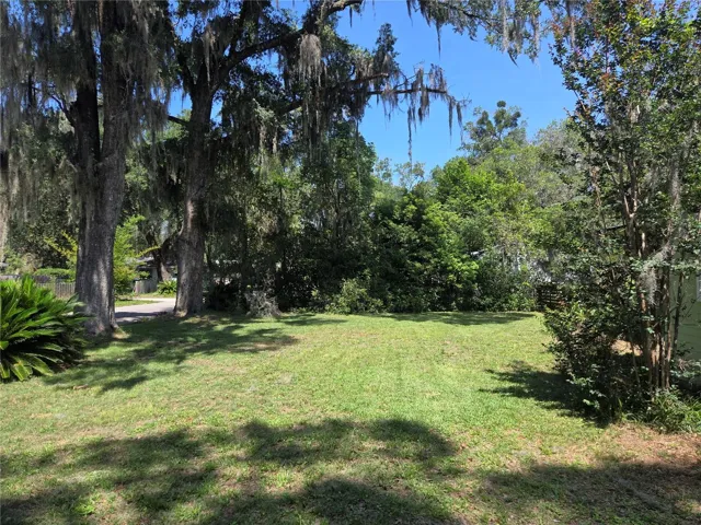 Front yard