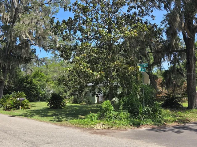 Front yard