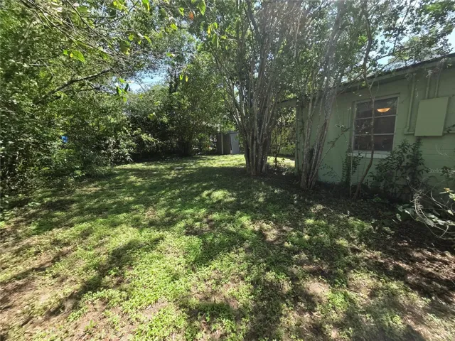 Backyard
