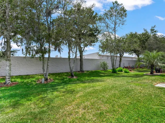 Rear Privacy Wall