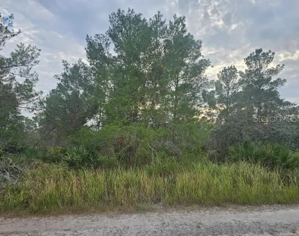 Vacant lot for sale, near homes.