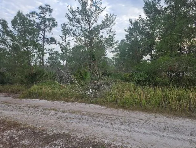 Dirt road, electricity nearby.
