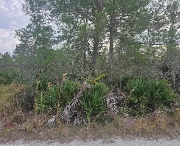 Secluded lot for sale.