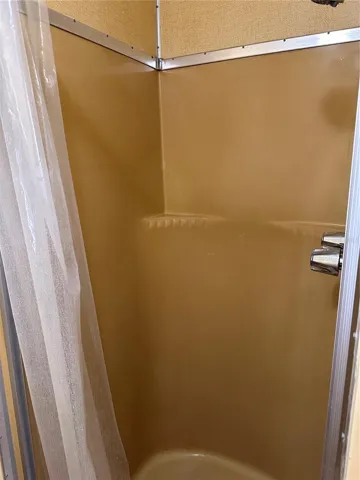 Primary Bathroom Shower