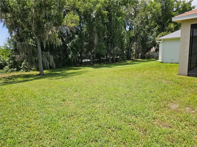 BACK YARD