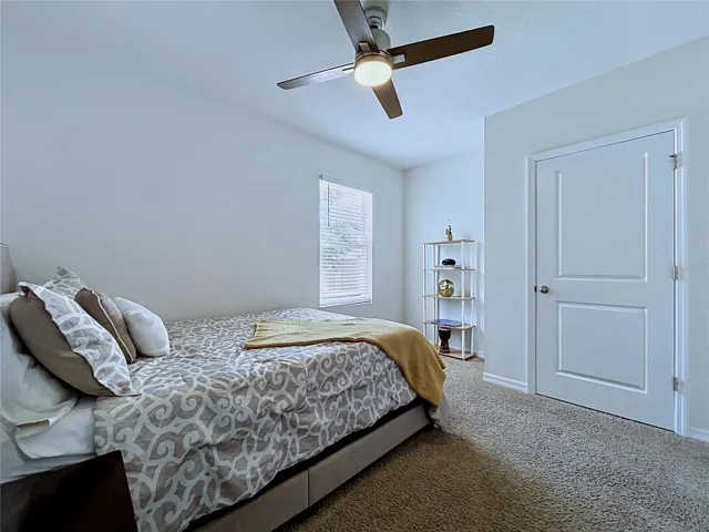 5th Bedroom *Downstairs