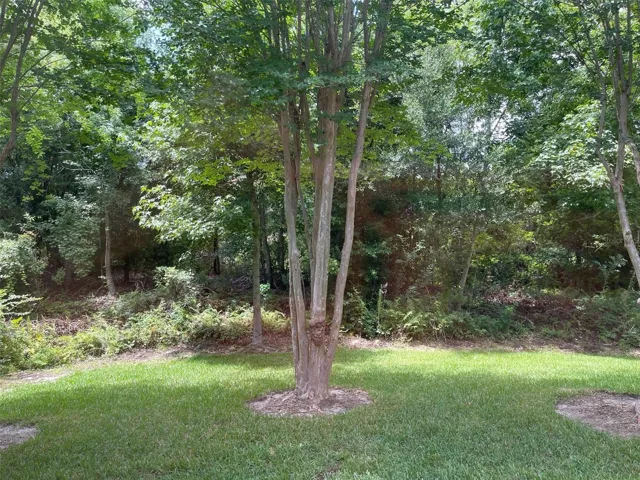 EXTERIOR BACK YARD VIEW