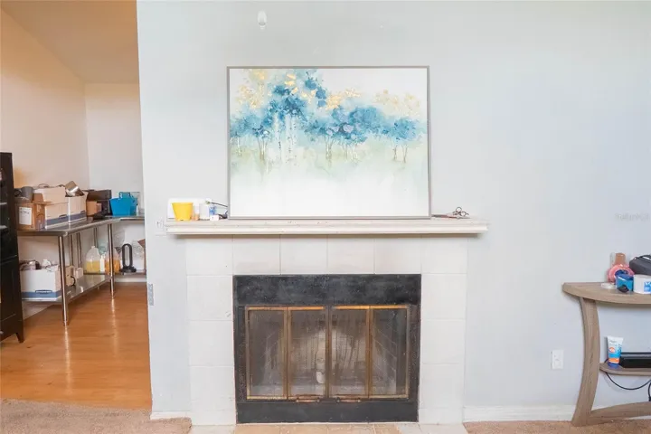 Fire Place