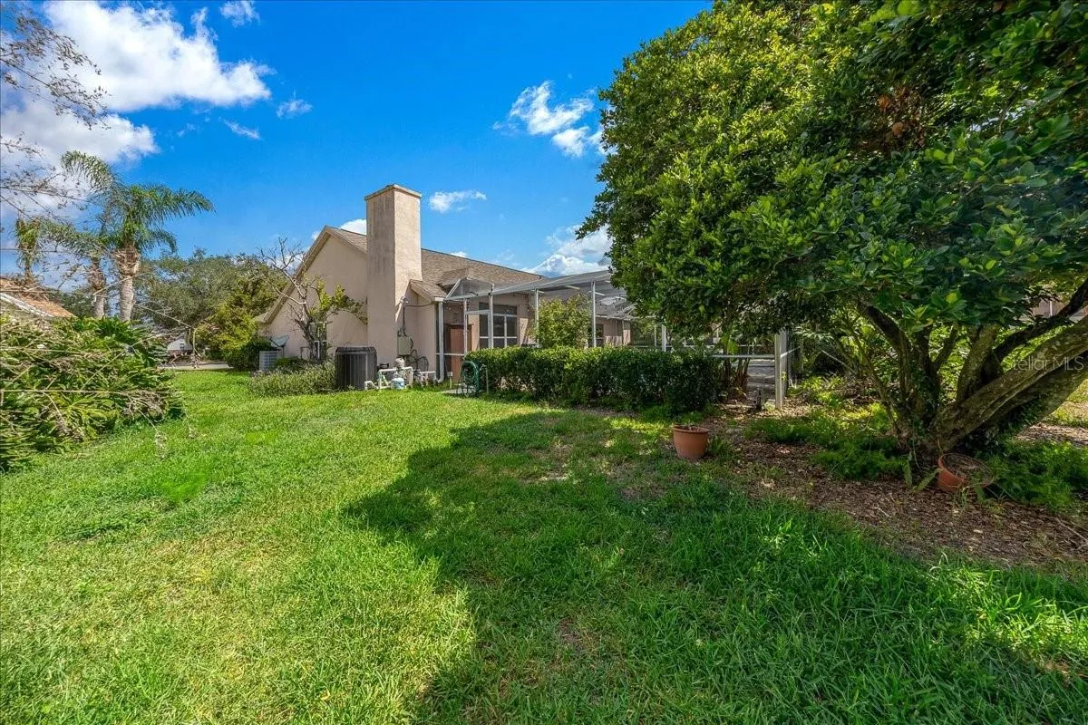 Large Lot
