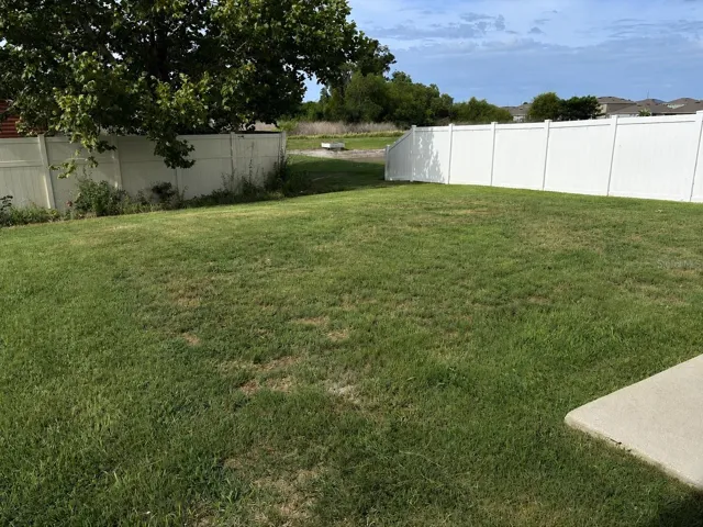 back yard