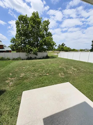 back yard