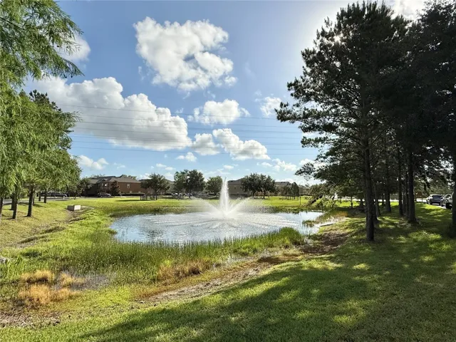 Community Pond
