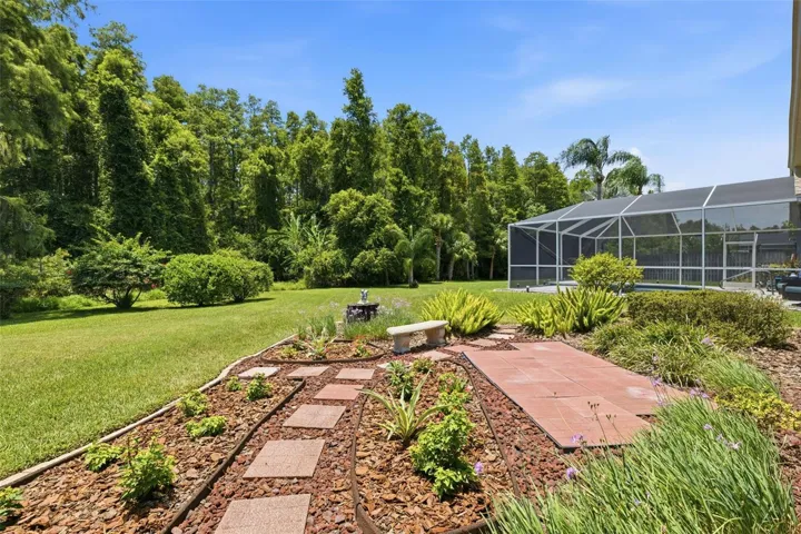 Backyard &amp; Conservation