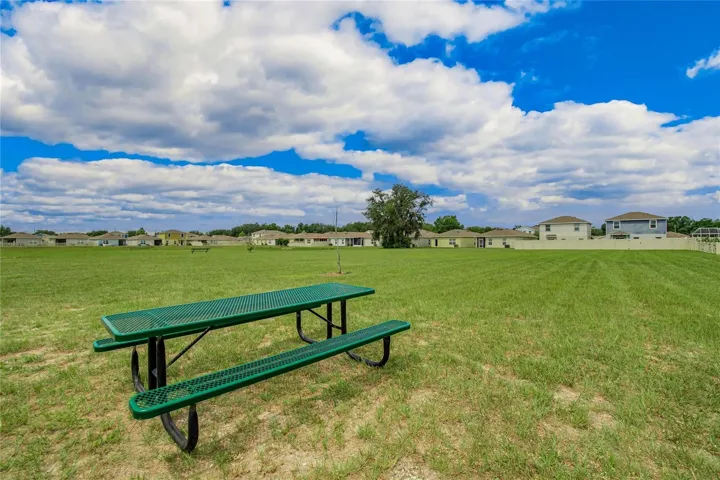 OPEN FIELD