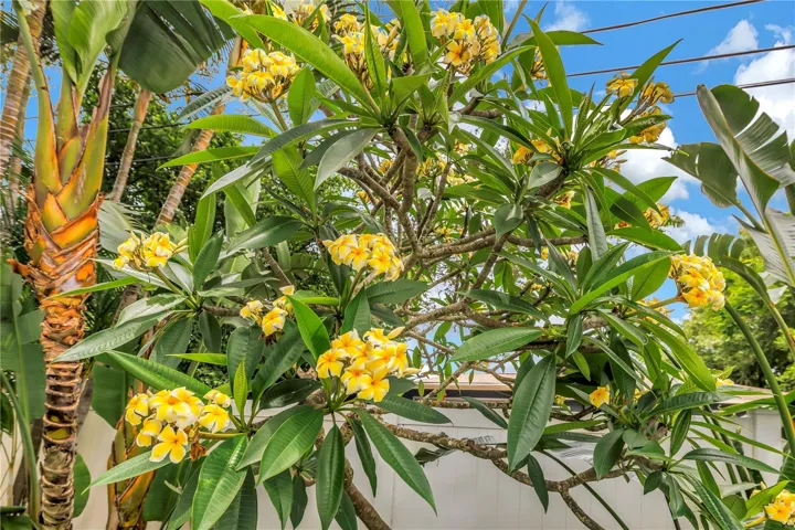 Tropical landscaping