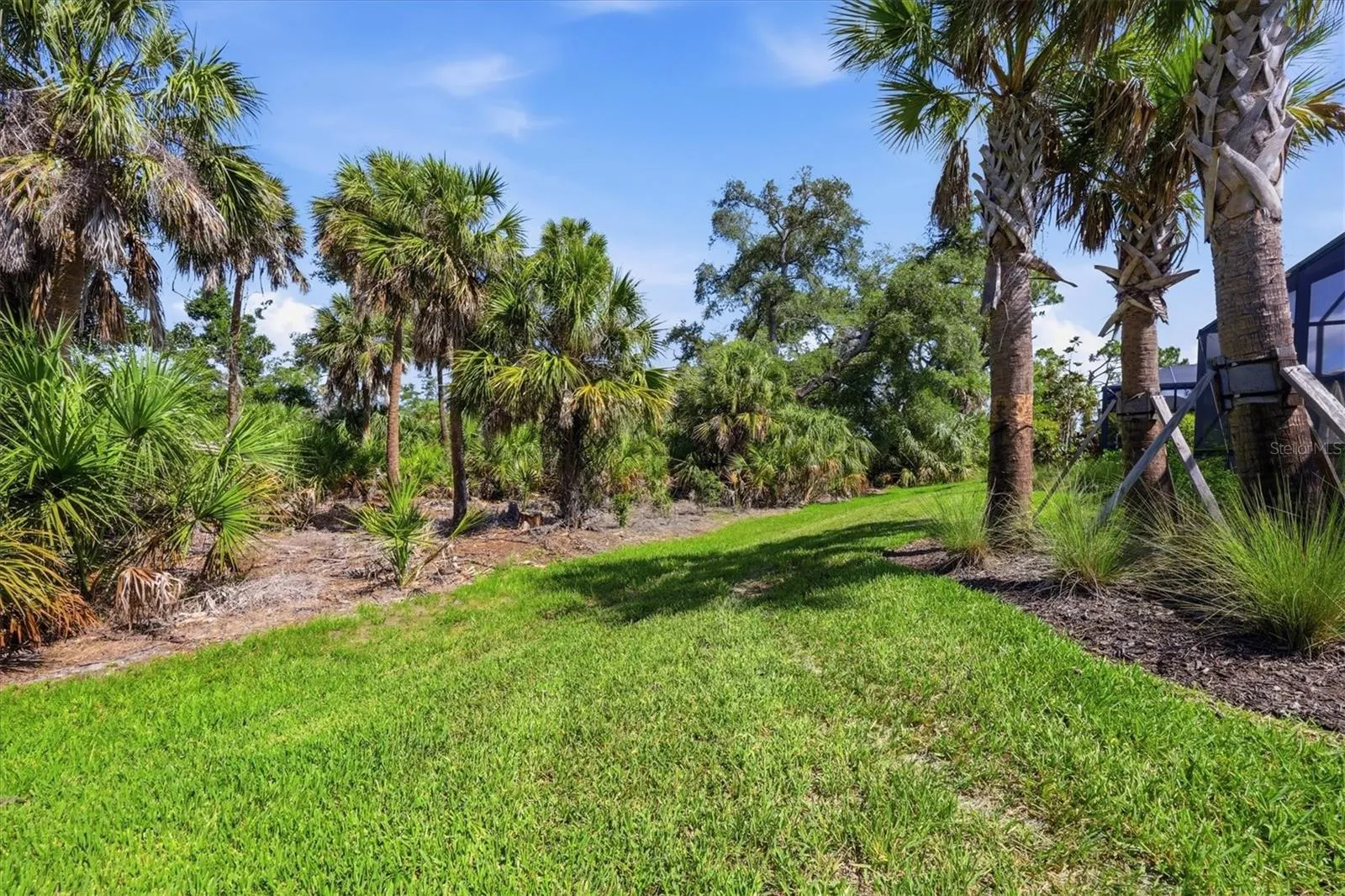 Back of property