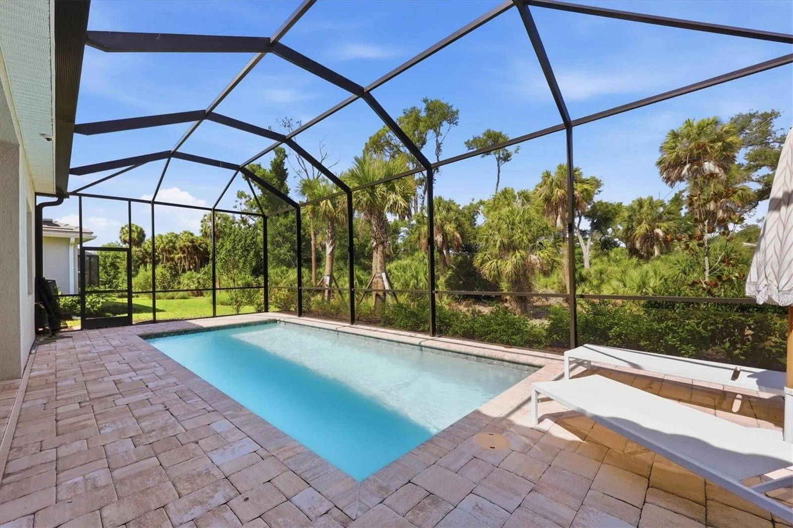 Saltwater pool with extended lanai