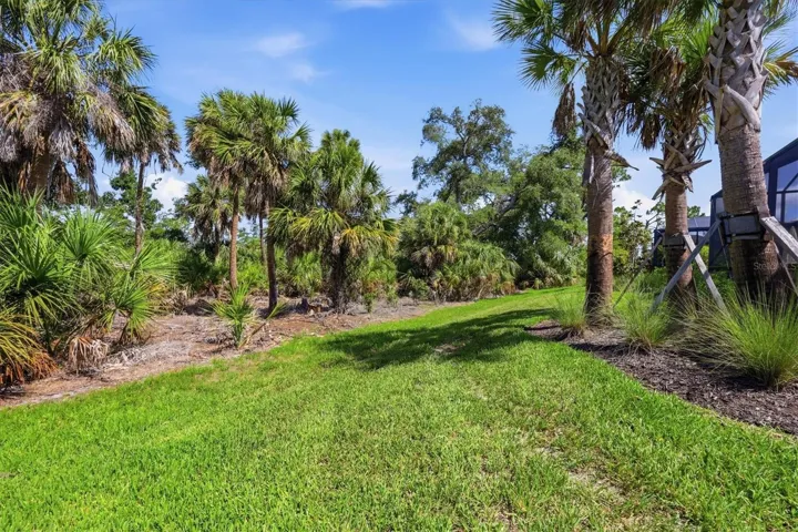 Back of property