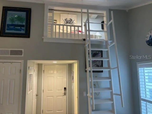 Ladder to Loft