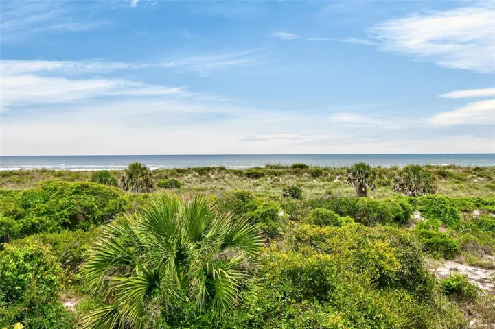 Ocean VIew