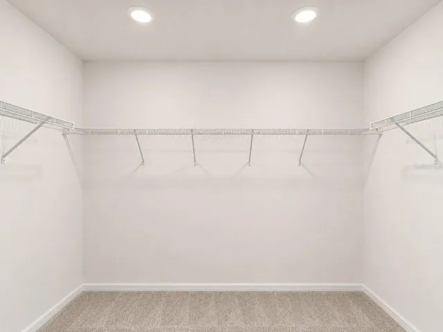 Primary bedroom closet