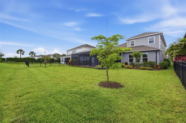 Rear Yard