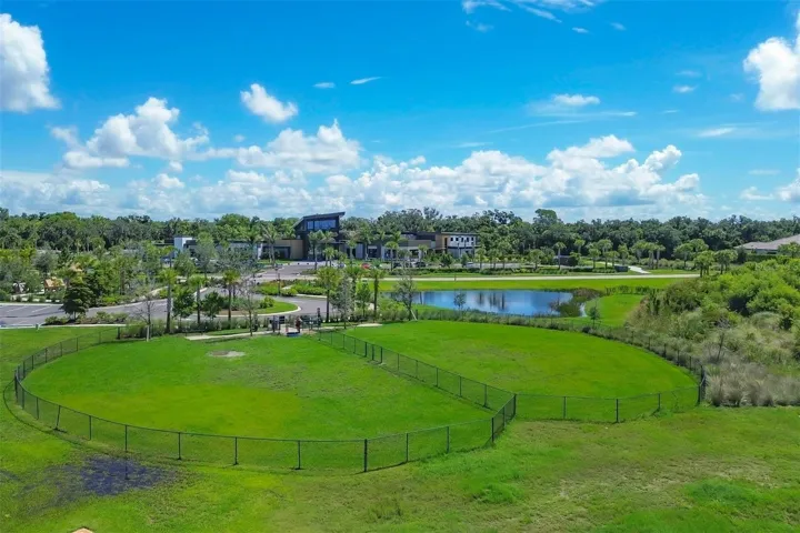 Dog Park