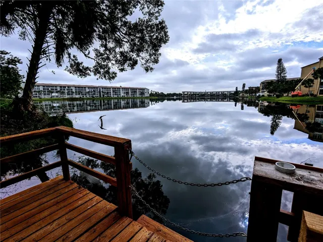 Northern end of the lake