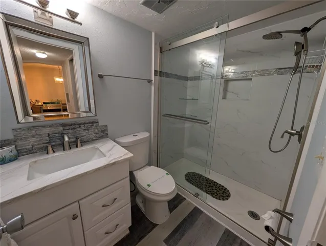 Guest bathroom - also beautifully & totally upgraded