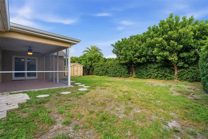 Backyard