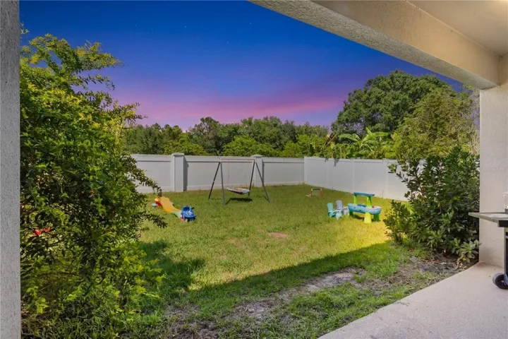 Twilight Backyard