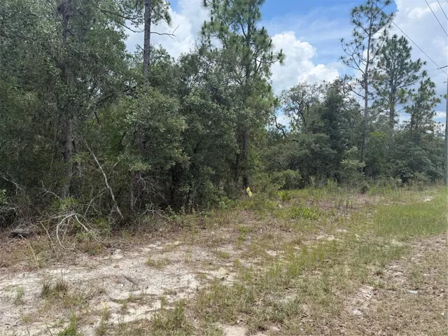 Photo is from the road (the front lot under a separate listing). The listing is for the rear of the property as pictured on photo #2
