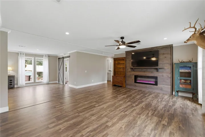 living room.electric fireplace