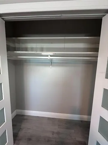 Primary Closet 2