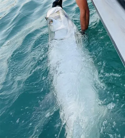 WORLD'S BEST FISHING
