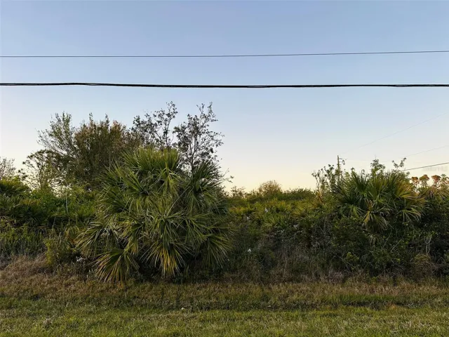 LOT FROM ZITTLE AVE