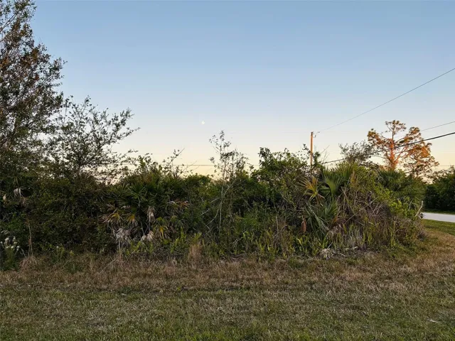 LOT FROM MCALLEN ST