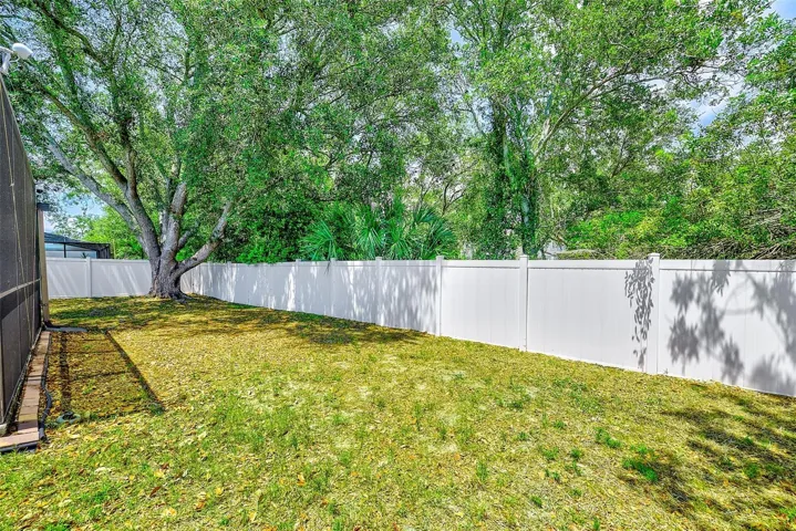 2nd view of back yard
